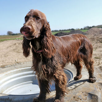 ester on tyre.jpg