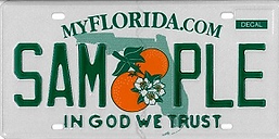 License Plates Fast Tag 2.png