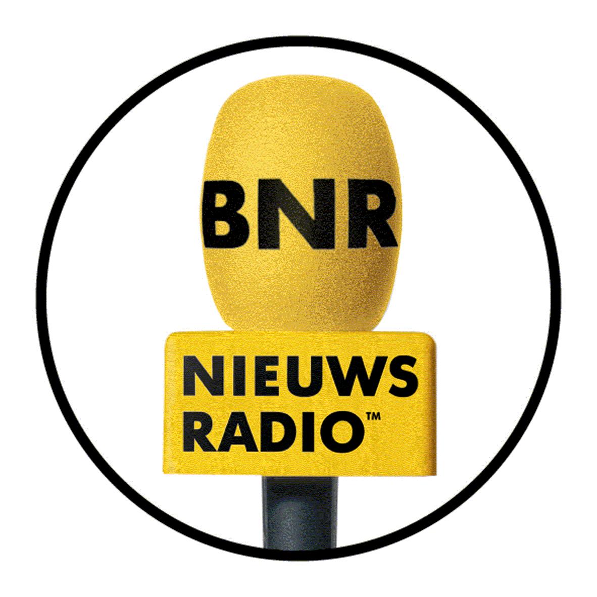 logo-bnr.gif