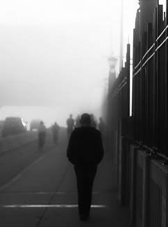 Fog-1 (2).jpg