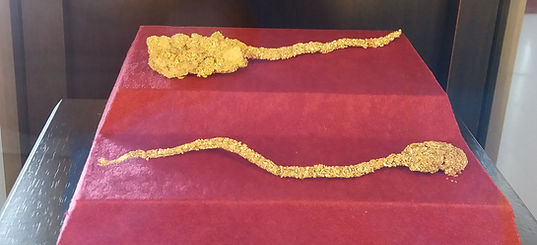 Drumul Auruului banner.jpg