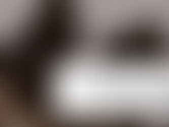 The Gut and Estrogen Connection No One Explains in Perimenopause