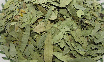 Senna-bladeren-senna-thee (1).jpg
