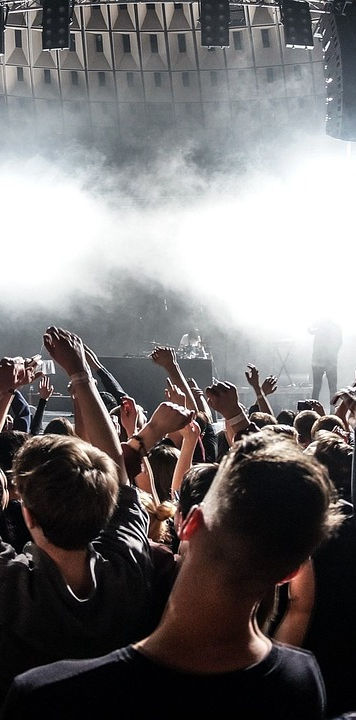 Dual Driver | Fumi Sound