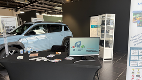 Renault 4 ou 4L