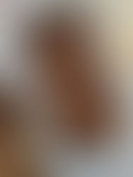 Maple Walnut Banana Nut Bread 