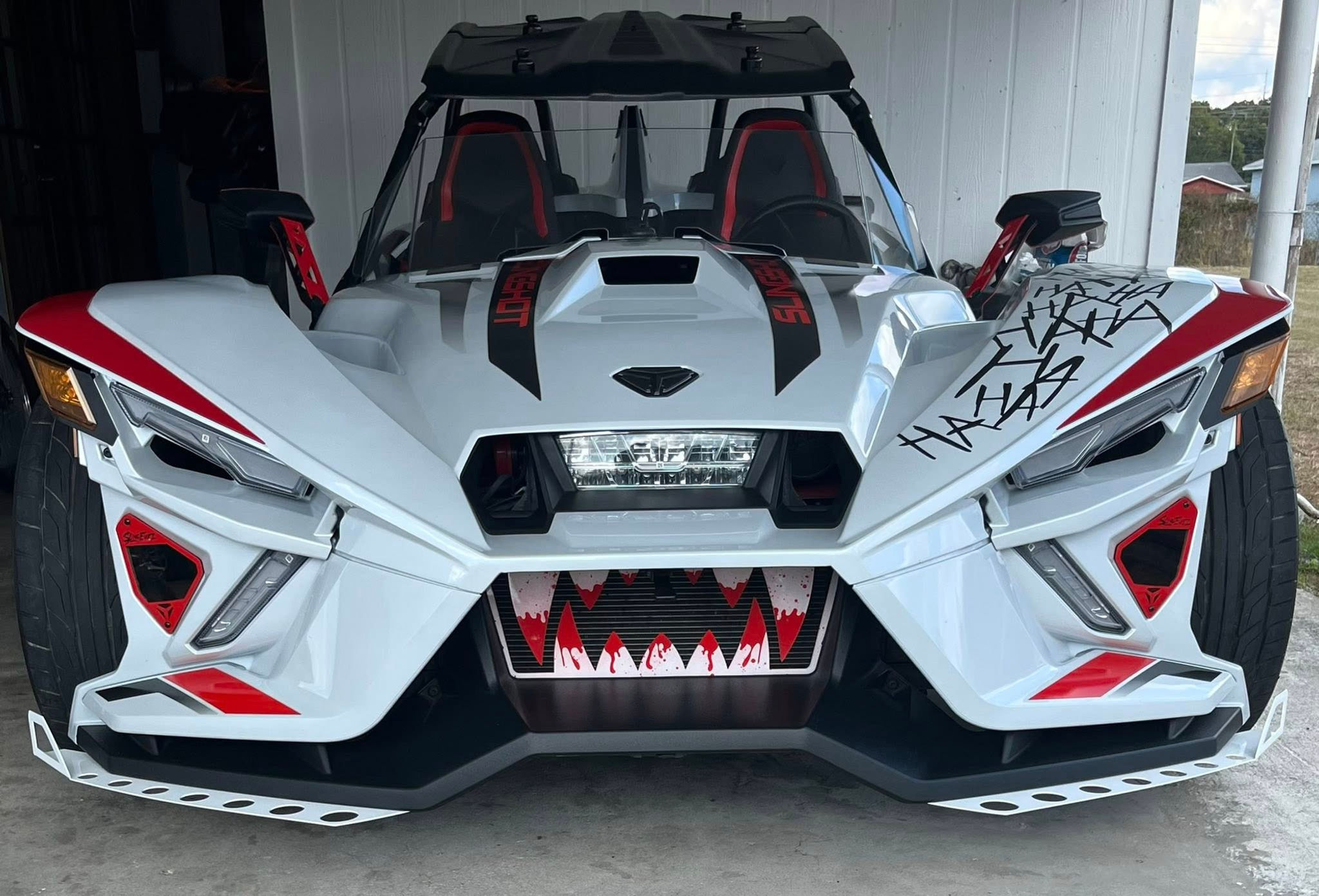 Custom Front Fang Grill (2015 - 2024)