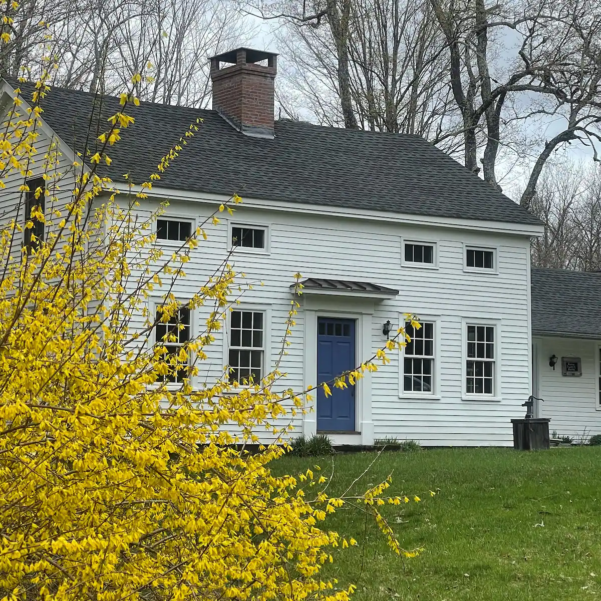 renee house.webp