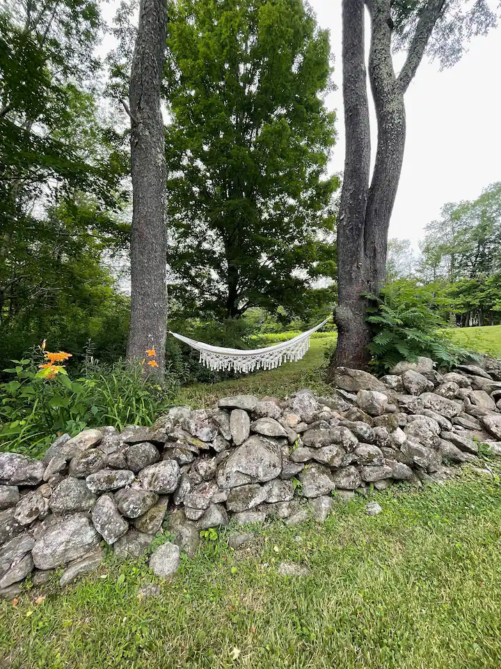 renee house 8.webp