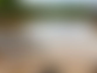 Pompa Celup Air Kotor Tsurumi Sebagai Solusi Air Berlumpur