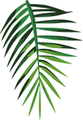 Tropical Leaf