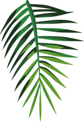 Feuille tropicale