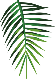 Tropical Leaf