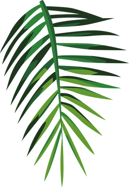 Tropical Leaf