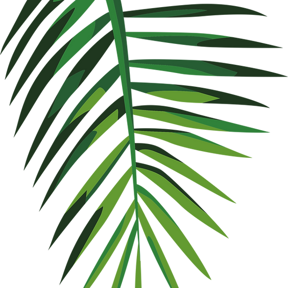 Palm Sunday Services