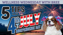 5 Tips for the 4th of July