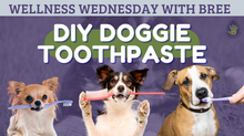 DIY Doggie Toothpaste.