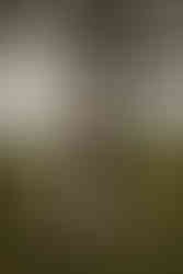 child laughing during relaxed lifestyle family photography session