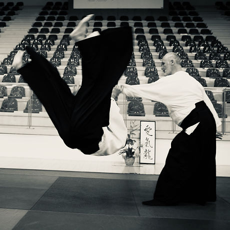 Leman Senseï aikido saint georges