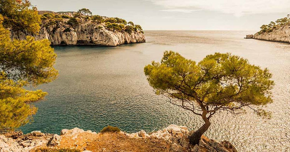 article_ImP_CateAzur-Cassis_1120x490.jpg