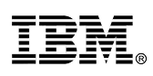 IBM (1).png