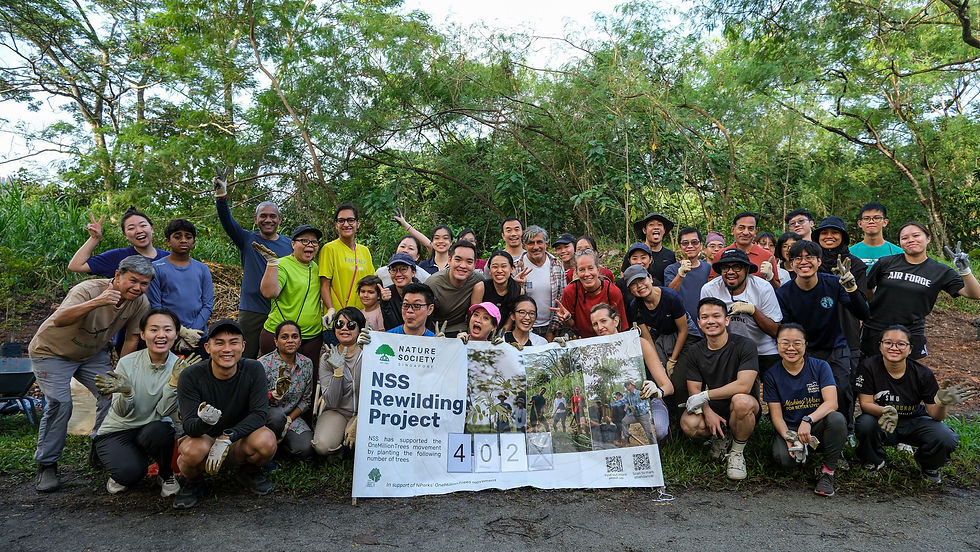 Volunteers and staff from Nature Society Singapore came together to plant new trees at a rewilding session along the Rail Corridor. (Photo credit: TR Sammyukta)