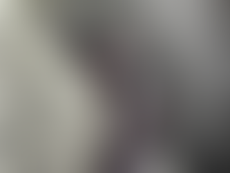 The Extraordinary Lives of Bats: A Reunion Story