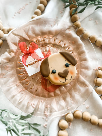 Photo Jan 24 2023, 1 12 17 PM.jpg