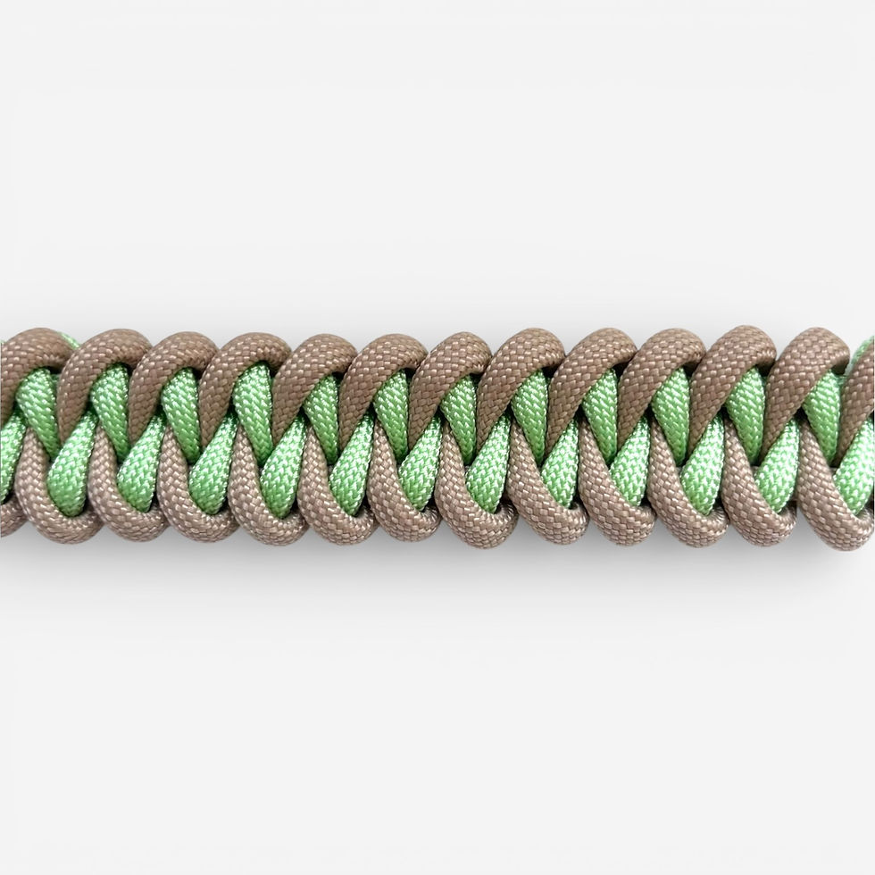 longing for spring paracord halsband