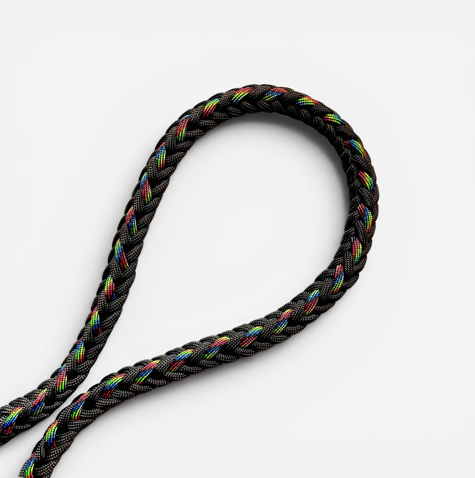 Führleine aus Biothane und Paracord in schwarz mit Farbakzenten aus der Schweiz