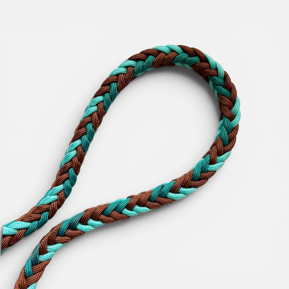 Führleine aus Biothane und Paracord