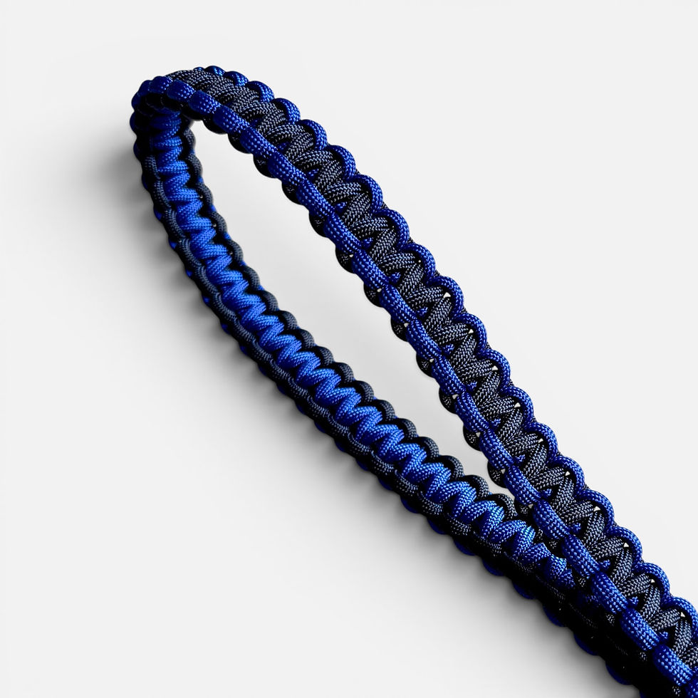 Kurzführer-Hunde-Blau-Paracord