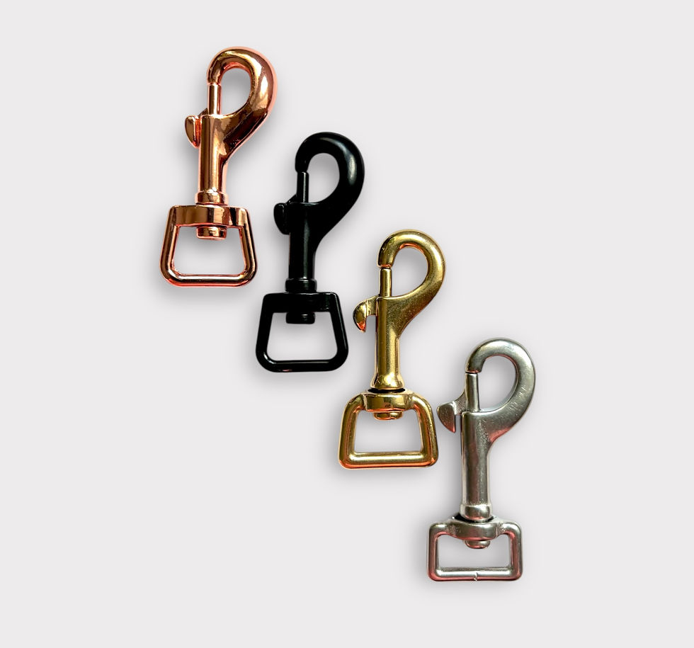 Miniaturbild: Auswahl der Karabiner für Hundeleine.