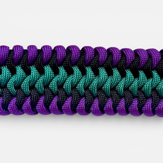Paracord-Hundehalsband