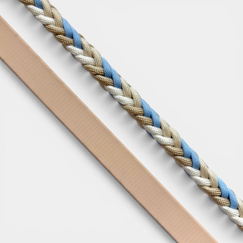 Führleine aus Biothane und Paracord aus der Schweiz in beige, weiss, polarblau