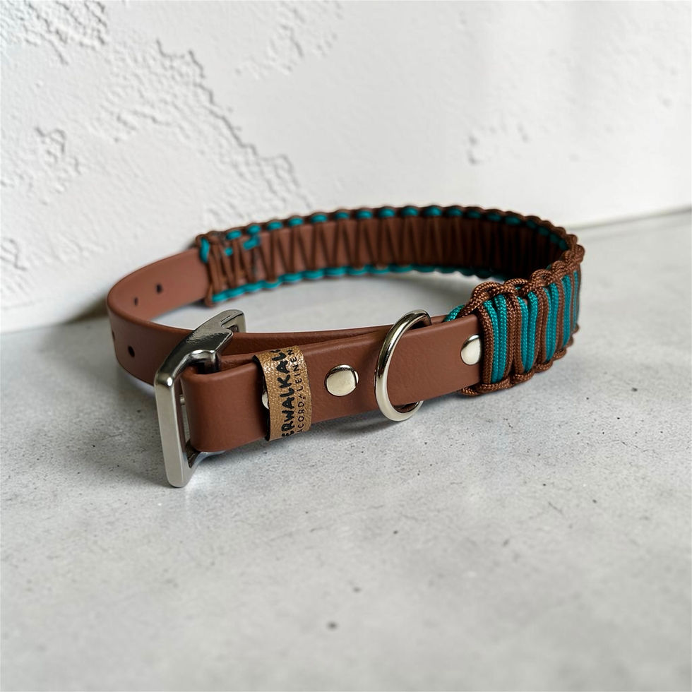 Miniaturbild: Hundehalsband aus Biothane und Paracord in Rosa und Beige
