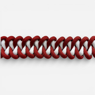 Paracord-Halsband