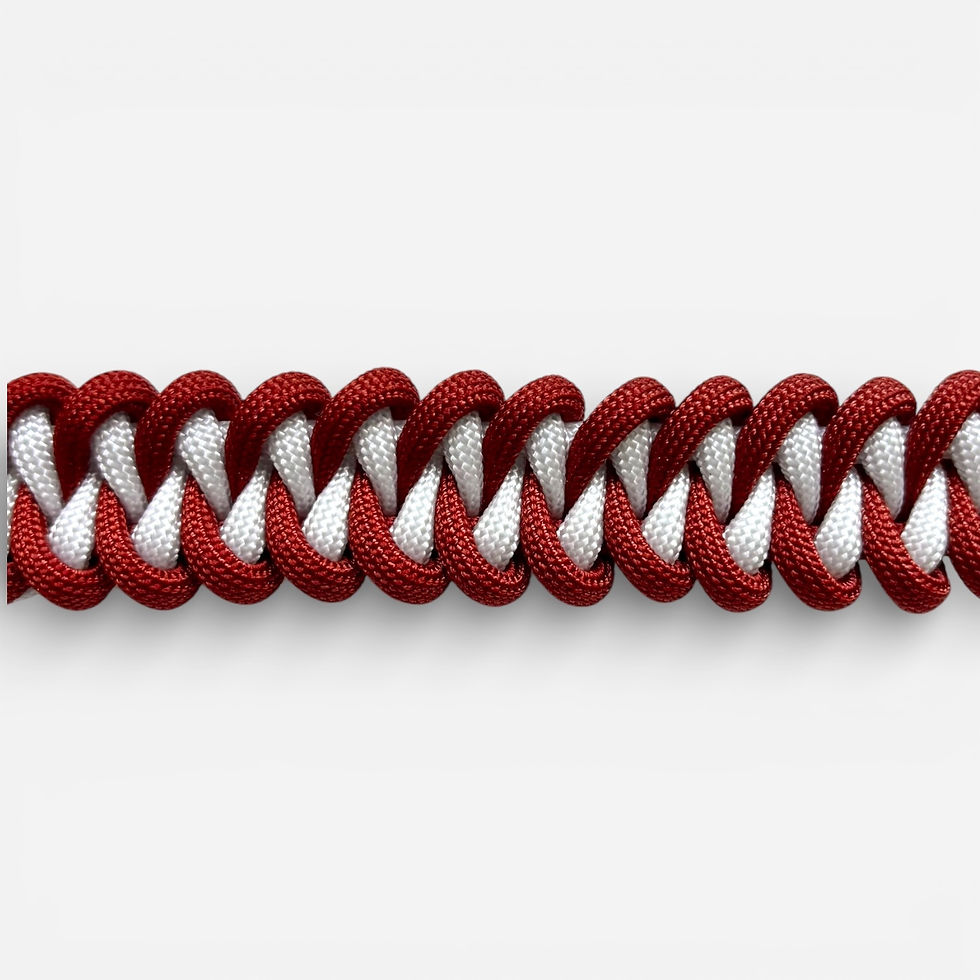 Paracord Hundehalsband für kleine Hunde in Kupfer und weiss