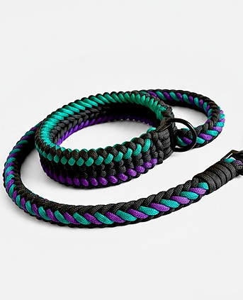 paracord-hunde-halsband-leinen-set-schweiz.jpg