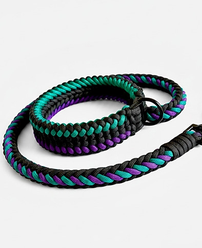 Hundeleinen und Halsband Set