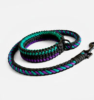 Hundeleinen-Set mit Halsband und Geschirr in Schwarz, Violett und Grün aus der Schweiz