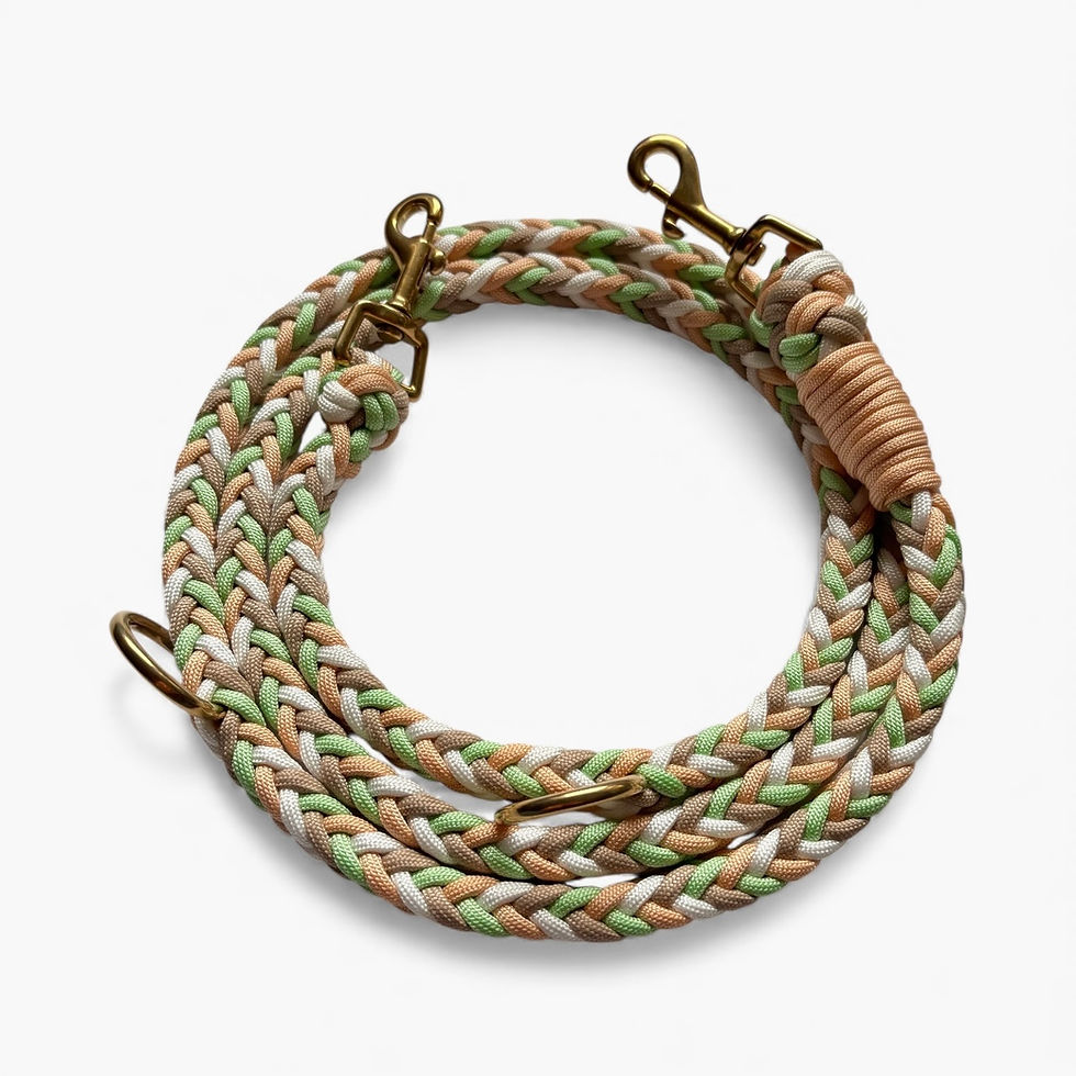 Paracord-Hundeleine aus der Schweiz in Pastellfarben