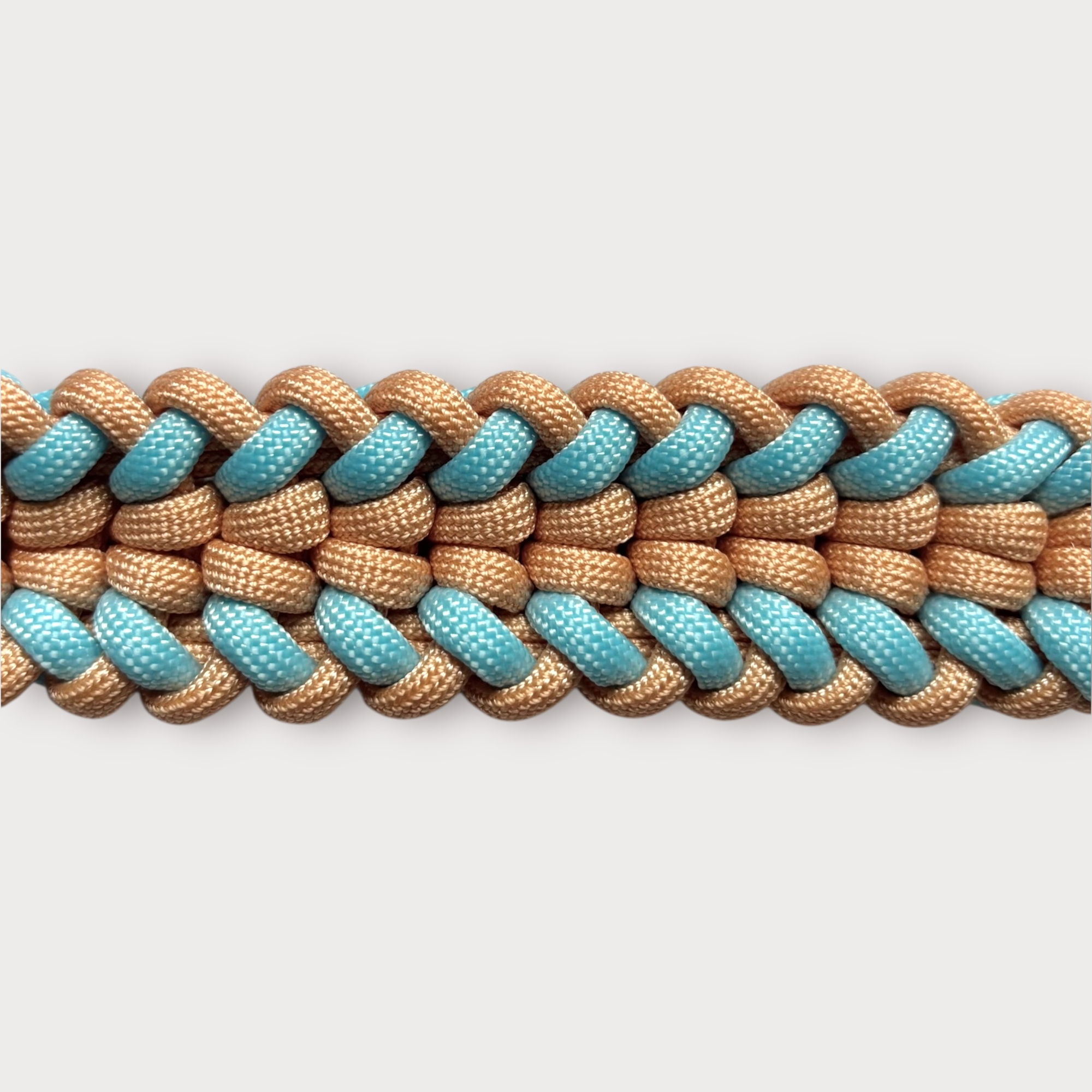 Peachy Sky – Hundehalsband aus Paracord & Biothane