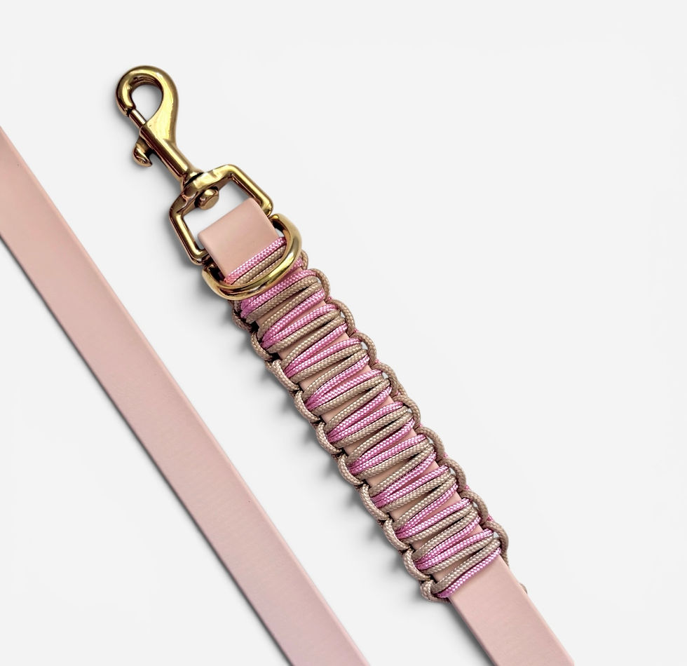 Umhängeleine aus Biothane und Paracord veredelt in rosa und beige aus der Schweiz