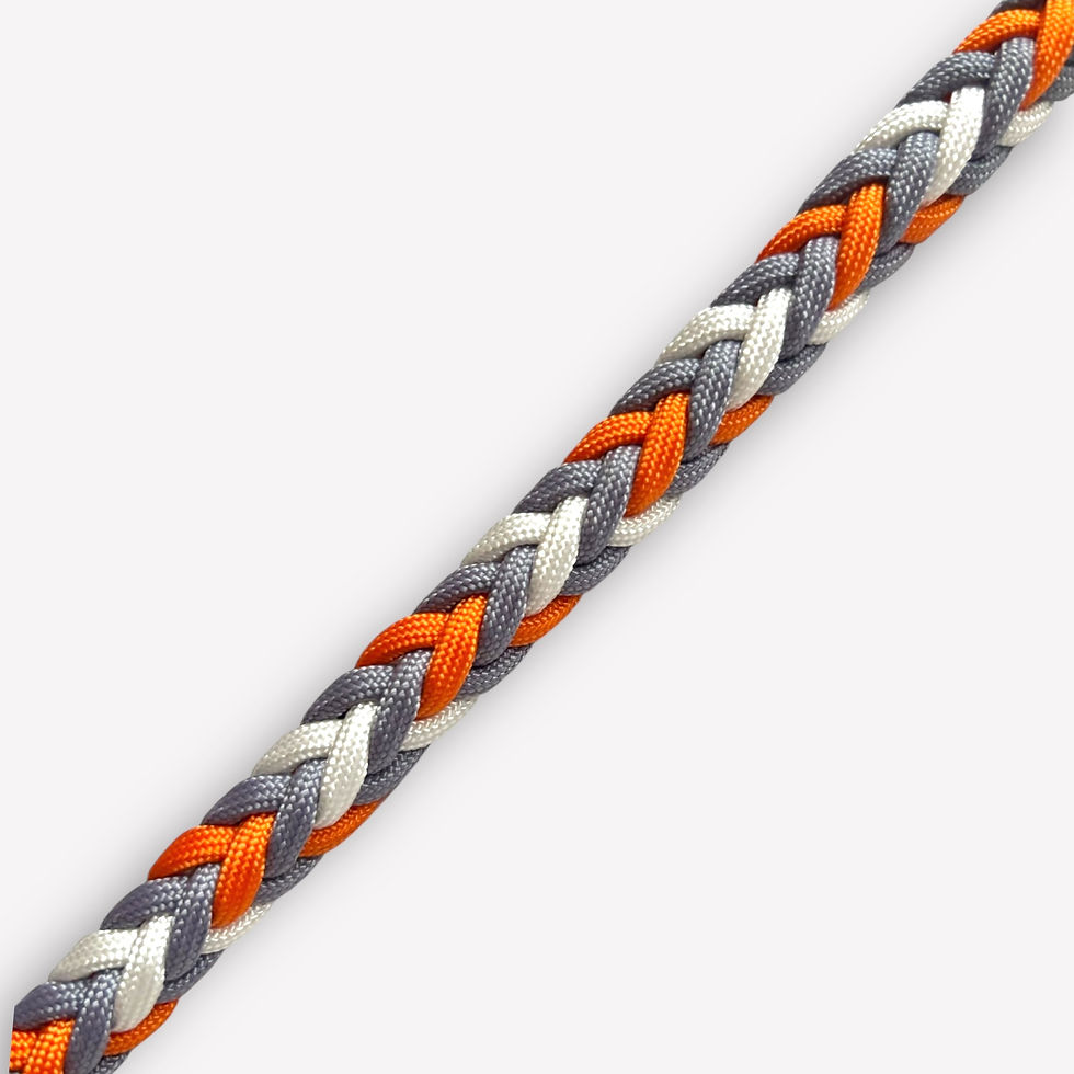 Hundeleine aus Paracord