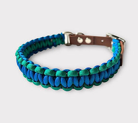 Paracord-Halsband mit Biothane für kleine bis mittelgrosse Hunde in den Farben Grün und Blau