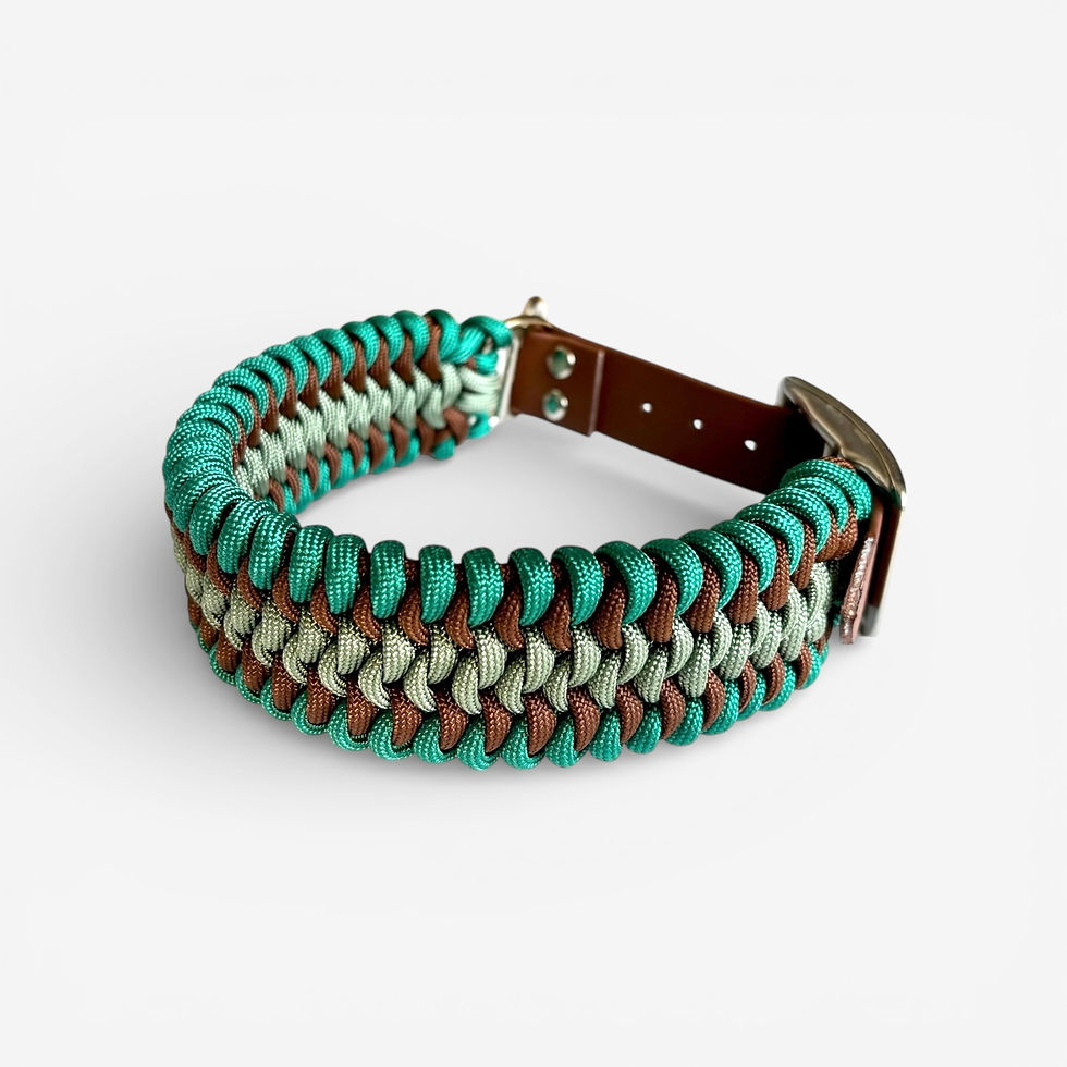 Ein handgemachtes Paracord-Halsband in den Farben Braun, Grau und Blau für Hunde, Schweiz