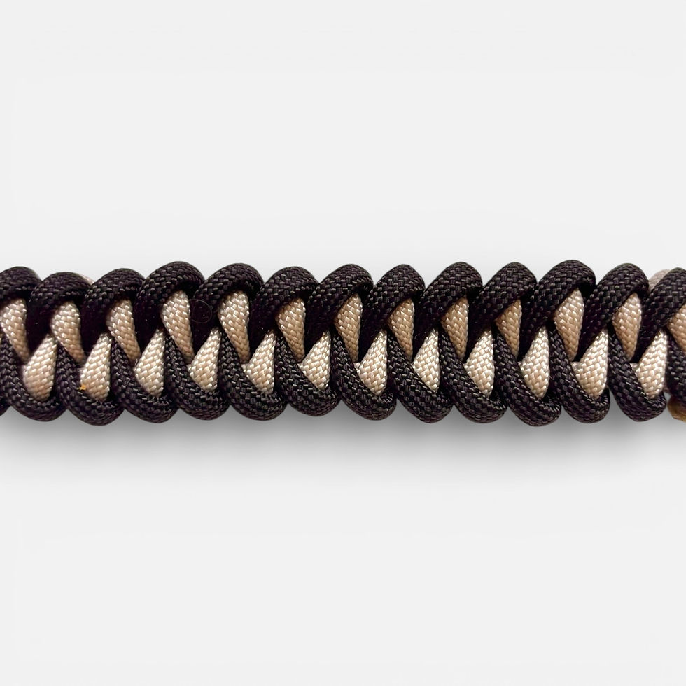 paracord-Hundehalsband für kleine Hunde in tan und schwarz