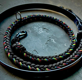 Biothane-fuehlrine-schwarz-schweiz-mit-paracord.jpg