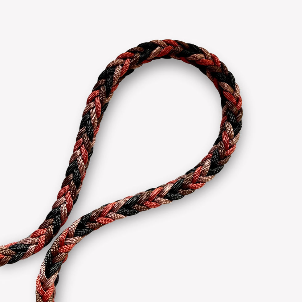 Paracord-Hundeleine Schweiz